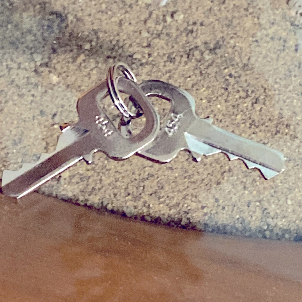 Louis Vuitton set of 454 keys